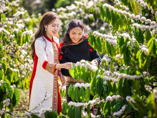 TÂY NGUYÊN – VÙNG ĐẤT ĐẠI NGÀN VÀ BẢN SẮC BẢN ĐỊA | TIN TỨC HÀNG NGÀY