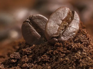 CÔNG NGHỆ SẤY THĂNG HOA THAY ĐỔI NGÀNH CÀ PHÊ NHƯ THẾ NÀO | NONLA COFFEE