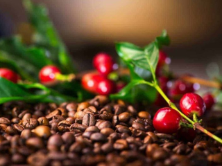 Tại Sao Nên Chọn Cà Phê Sấy Thăng Hoa Thay Vì Cà Phê  Hòa Tan Thông Thường | AODAI COFFEE