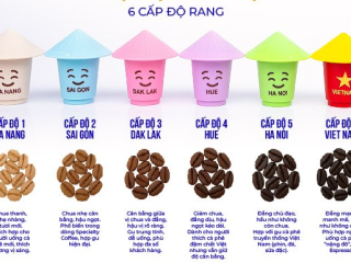 6 Cấp Độ Cà Phê NonLa Có Gì Đặc Biệt Mà Được Nhiều Người Săn Đón?| NONLA COFFEE