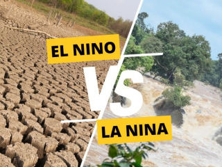 EL NIÑO – LA NIÑA & TÁC ĐỘNG ĐẾN CÀ PHÊ VIỆT NAM: KHI BIẾN ĐỔI KHÍ HẬU GÂY XÁO TRỘN NÔNG SẢN | NONLA COFFEE
