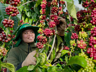 MỘT LY CÀ PHÊ PHA NHANH CÓ LÀM MẤT ĐI TRẢI NGHIỆM THƯỞNG THỨC