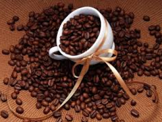 CÁCH BẢO QUẢN CÀ PHÊ ROBUSTA GIỮ HƯƠNG LÂU NHẤT | NONLA COFFEE
