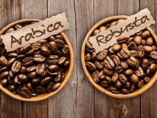 Cà phê Robusta Và Arabica Khác Nhau Thế Nào? – Góc Nhìn Từ | AODAI COFFEE