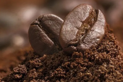 CÔNG NGHỆ SẤY THĂNG HOA THAY ĐỔI NGÀNH CÀ PHÊ NHƯ THẾ NÀO | NONLA COFFEE