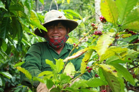 NONLA VIETNAM GLOBAL 