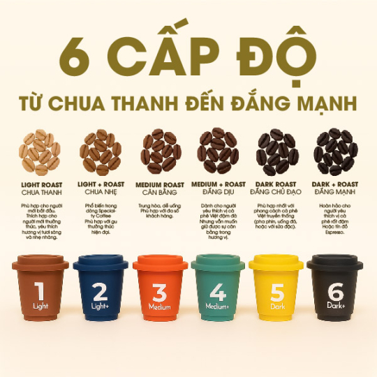 [ Mua 5 hộp Tặng hộp 6 viên ] Hộp 12 Viên Cafe Sấy THĂNG HOA AODAI Cao Cấp Từ Hạt Robusta